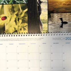 Hannah's Calendar - sample page